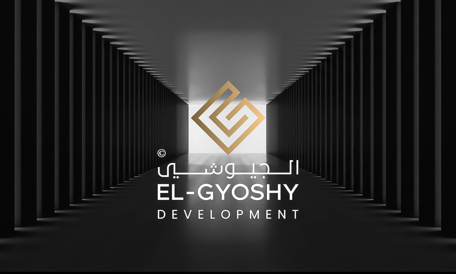 شركه الجيوشى لتطوير مواقع الويب وانشاء اعلانات جوجل